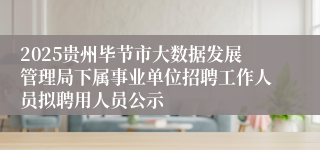 2025贵州毕节市大数据发展管理局下属事业单位招聘工作人员拟聘用人员公示