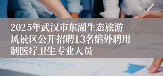 2025年武汉市东湖生态旅游风景区公开招聘13名编外聘用制医疗卫生专业人员