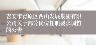 吉安市青原区两山发展集团有限公司关于部分岗位任职要求调整的公告
