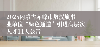 2025内蒙古赤峰市敖汉旗事业单位“绿色通道”引进高层次人才11人公告