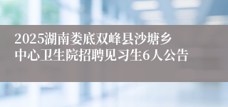 2025湖南娄底双峰县沙塘乡中心卫生院招聘见习生6人公告