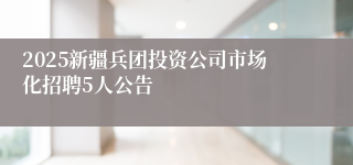 2025新疆兵团投资公司市场化招聘5人公告
