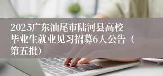 2025广东汕尾市陆河县高校毕业生就业见习招募6人公告（第五批）
