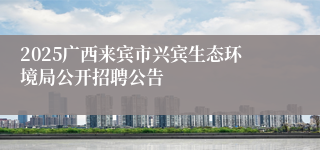 2025广西来宾市兴宾生态环境局公开招聘公告