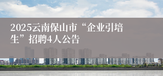 2025云南保山市“企业引培生”招聘4人公告