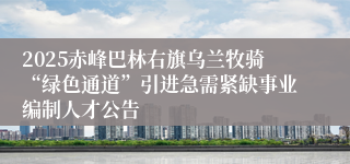 2025赤峰巴林右旗乌兰牧骑“绿色通道”引进急需紧缺事业编制人才公告