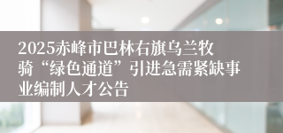 2025赤峰市巴林右旗乌兰牧骑“绿色通道”引进急需紧缺事业编制人才公告