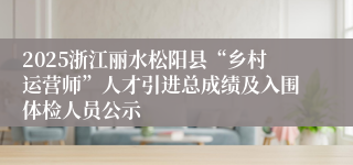 2025浙江丽水松阳县“乡村运营师”人才引进总成绩及入围体检人员公示