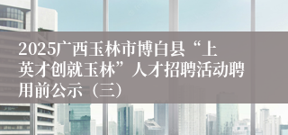 2025广西玉林市博白县“上英才创就玉林”人才招聘活动聘用前公示（三）