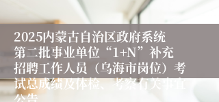 2025内蒙古自治区政府系统第二批事业单位“1+N”补充招聘工作人员（乌海市岗位）考试总成绩及体检、考察有关事宜公告