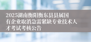 2025湖南衡阳衡东县县属国有企业取消急需紧缺专业技术人才考试考核公告