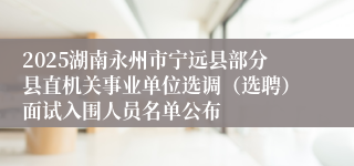 2025湖南永州市宁远县部分县直机关事业单位选调（选聘）面试入围人员名单公布