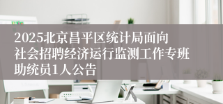 2025北京昌平区统计局面向社会招聘经济运行监测工作专班助统员1人公告
