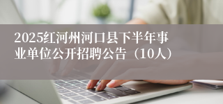 2025红河州河口县下半年事业单位公开招聘公告（10人）