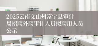 2025云南文山州富宁县审计局招聘外聘审计人员拟聘用人员公示