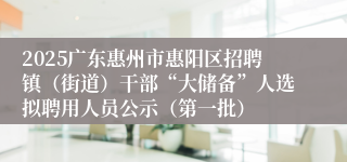 2025广东惠州市惠阳区招聘镇（街道）干部“大储备”人选拟聘用人员公示（第一批）