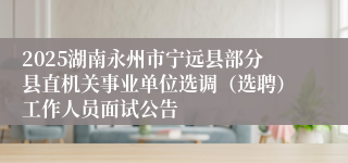 2025湖南永州市宁远县部分县直机关事业单位选调（选聘）工作人员面试公告