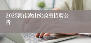 2025河南嵩山实验室招聘公告