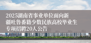 2025湖南省事业单位面向新疆吐鲁番籍少数民族高校毕业生专项招聘20人公告