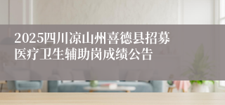 2025四川凉山州喜德县招募医疗卫生辅助岗成绩公告