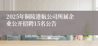 2025年铜陵港航公司所属企业公开招聘15名公告