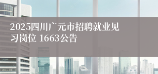 2025四川广元市招聘就业见习岗位 1663公告