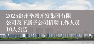 2025贵州毕城开发集团有限公司及下属子公司招聘工作人员10人公告