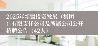 2025年新疆投资发展（集团）有限责任公司及所属公司公开招聘公告（42人）