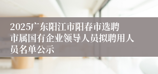 2025广东阳江市阳春市选聘市属国有企业领导人员拟聘用人员名单公示