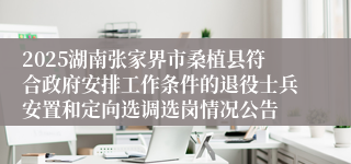2025湖南张家界市桑植县符合政府安排工作条件的退役士兵安置和定向选调选岗情况公告