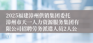 2025福建漳州供销集团委托漳州市天一人力资源服务集团有限公司招聘劳务派遣人员2人公告