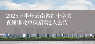 2025下半年云南省红十字会直属事业单位招聘2人公告