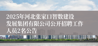 2025年河北张家口智数建设发展集团有限公司公开招聘工作人员2名公告