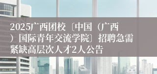 2025广西团校〔中国（广西）国际青年交流学院〕招聘急需紧缺高层次人才2人公告