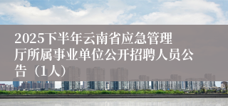 2025下半年云南省应急管理厅所属事业单位公开招聘人员公告（1人）