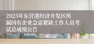 2025年东营港经济开发区所属国有企业急需紧缺工作人员考试总成绩公告