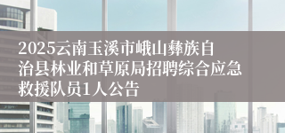 2025云南玉溪市峨山彝族自治县林业和草原局招聘综合应急救援队员1人公告
