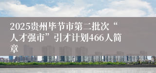 2025贵州毕节市第二批次“人才强市”引才计划466人简章