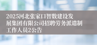 2025河北张家口智数建设发展集团有限公司招聘劳务派遣制工作人员2公告