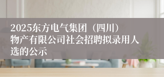 2025东方电气集团（四川）物产有限公司社会招聘拟录用人选的公示