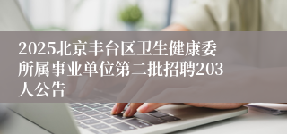 2025北京丰台区卫生健康委所属事业单位第二批招聘203人公告