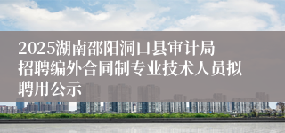 2025湖南邵阳洞口县审计局招聘编外合同制专业技术人员拟聘用公示