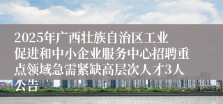 2025年广西壮族自治区工业促进和中小企业服务中心招聘重点领域急需紧缺高层次人才3人公告