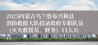 2025内蒙古乌兰察布兴和县消防救援大队招录政府专职队员（灭火救援员、财务）11人公告