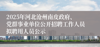 2025年河北沧州南皮政府、党群事业单位公开招聘工作人员拟聘用人员公示