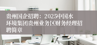 贵州国企招聘：2025中国水环境集团贵州业务区财务经理招聘简章
