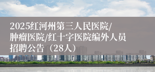 2025红河州第三人民医院/肿瘤医院/红十字医院编外人员招聘公告（28人）