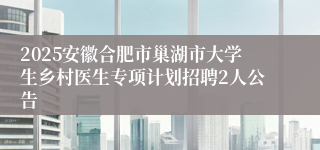 2025安徽合肥市巢湖市大学生乡村医生专项计划招聘2人公告