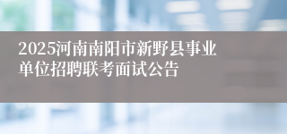 2025河南南阳市新野县事业单位招聘联考面试公告