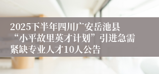 2025下半年四川广安岳池县“小平故里英才计划”引进急需紧缺专业人才10人公告